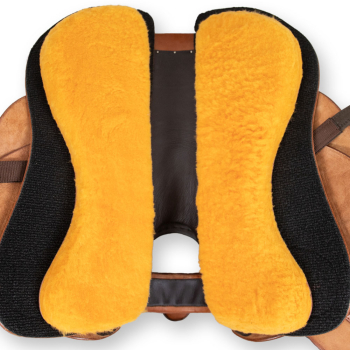 DP Quantum Short&Light Western Pro